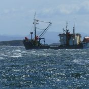 Chilean fishing boat sheltering at Caletta Lennox.