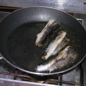 Flying fish frying